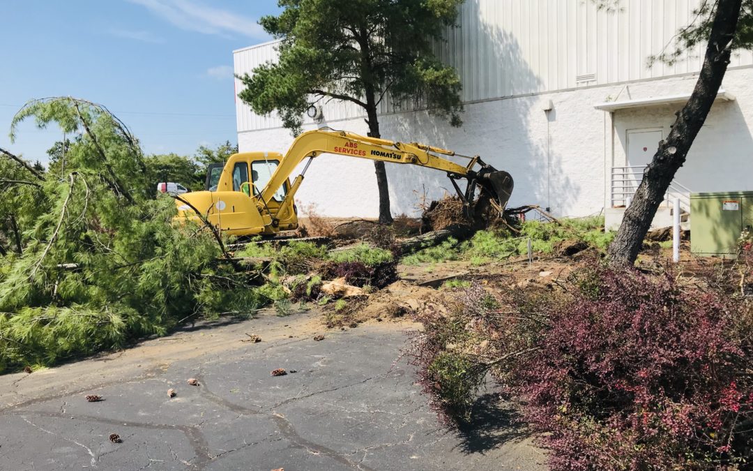 Red Dog Pet Resort – Springdale, Ohio