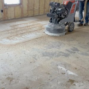 Acute Pet Adhesive Removal 1 - ABS Services