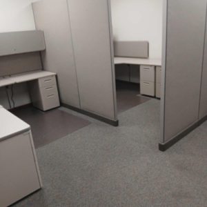 Acute Pet Before 1 - ABS Services