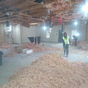 Acute Pet During 4 - ABS Services